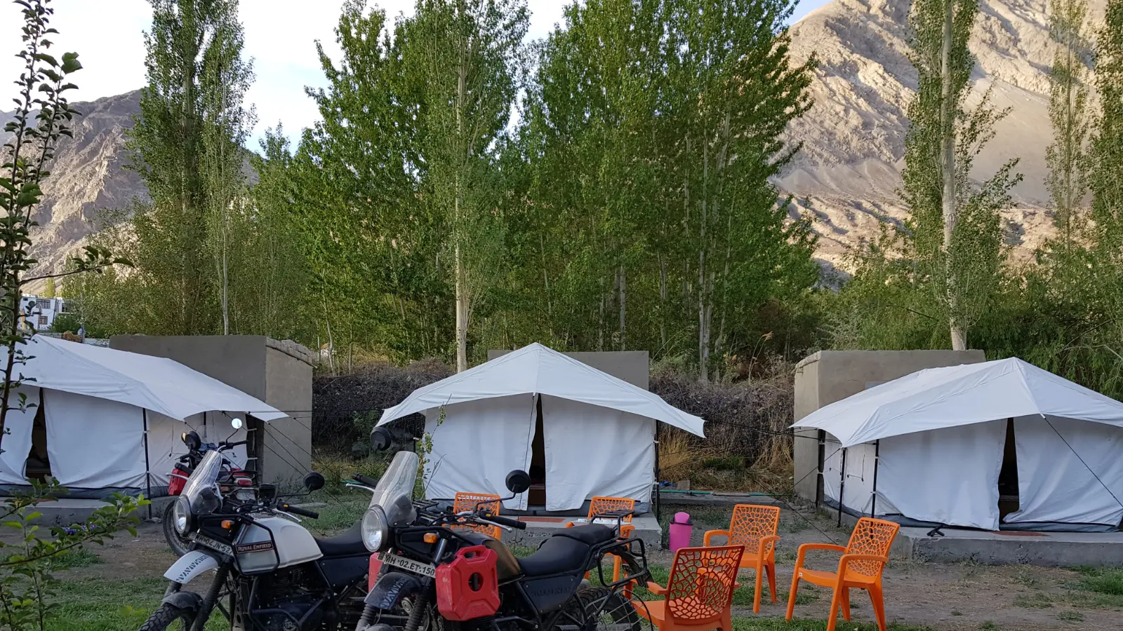 Three Royal Enfield Himalayans parked at camp in Diskit